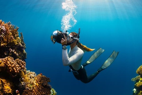 Les 10 meilleurs spots de plongée au monde à découvrir absolument