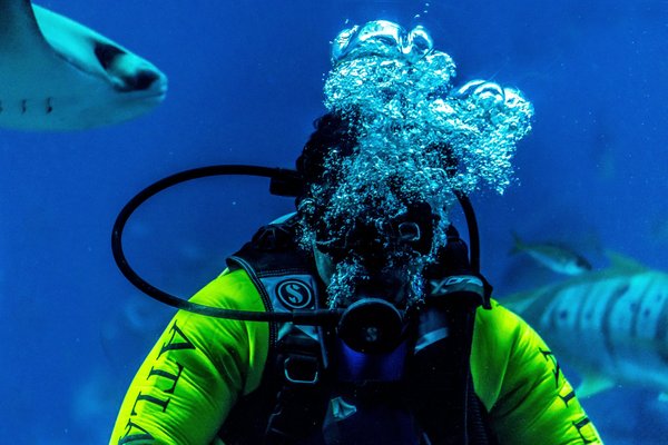 Choisir son détendeur de plongée en eau salée
